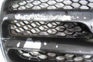 Изображение товара 70859 - 00070859 reshetka radiatora 3