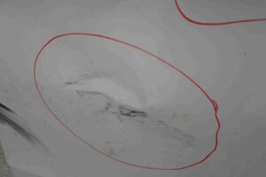 Изображение товара 71120 - 00071120 dver perednyaya levaya 1