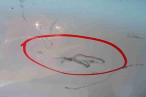 Изображение товара 71294 - 00071294 dver perednyaya pravaya Nissan Micra 1