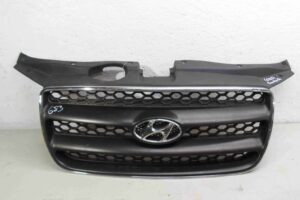 Изображение товара 71359 - 00071359 reshetka radiatora 3