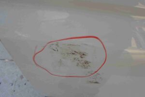 Изображение товара 71862 - 00071862 dver perednyaya pravaya Fiat Brava 1