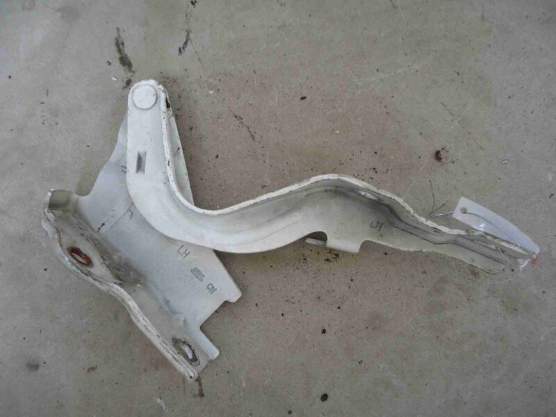 Изображение товара 72977 - 00072977 petlya kapota levaya