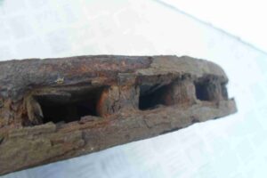 Изображение товара 74294 - 00074294 disk tormoznoj perednij 3