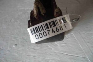 Изображение товара 74681 - 00074681 rychag zadnij levyj Peugeot 107