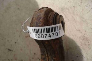 Изображение товара 74701 - 00074701 rychag zadnij levyj nizhnij Citroen C5 1