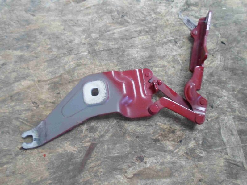 Изображение товара 76105 - 00076105 petlya kapota levaya