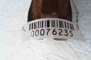 Изображение товара 76235 - 00076235 kulak povorotnyj levyj Peugeot 306 1