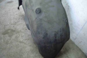 Изображение товара 77806 - 00077806 podkrylok zadnij levyj 3