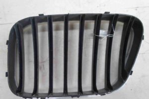 Изображение товара 78103 - 00078103 reshetka radiatora 1