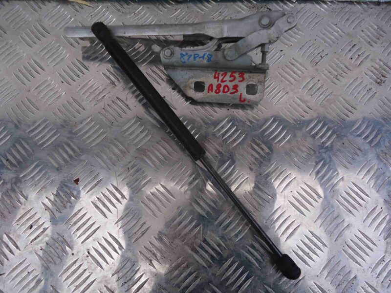 Изображение товара 78669 - 00078669 petlya kapota levaya