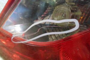 Изображение товара 78749 - 00078749 fonar kryla pravyj 2