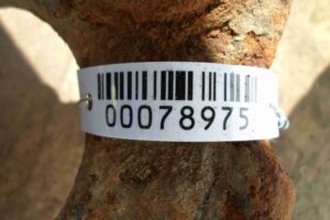 Изображение товара 78975 - 00078975 rychag perednij pravyj nizhnij 2