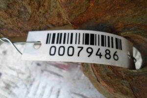 Изображение товара 79486 - 00079486 kulak povorotnyj pravyj 2