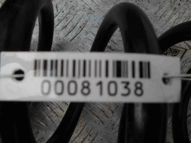 Изображение товара 81038 - 00081038 pruzhina zadnyaya