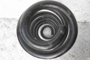 Изображение товара 81038 - 00081038 pruzhina zadnyaya 1