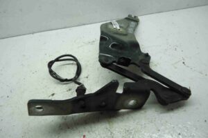 Изображение товара 81106 - 00081106 petlya kapota pravaya 