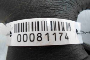 Изображение товара 81174 - 00081174 rul Ford Fiesta 2