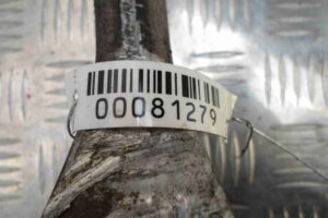 Изображение товара 81279 - 00081279 rychag perednij pravyj nizhnij 