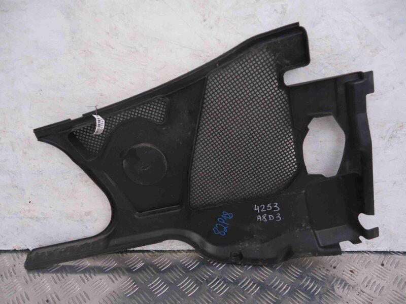 Изображение товара 81945 - 00081945 dozhdevik