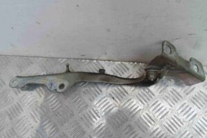 Изображение товара 83186 - 00083186 petlya kapota pravaya 1