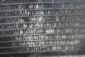 Изображение товара 84067 - 00084067 radiator dvs 3