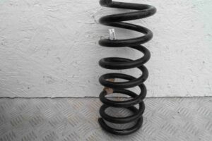 Изображение товара 85125 - 00085125 pruzhina zadnyaya Chevrolet Aveo