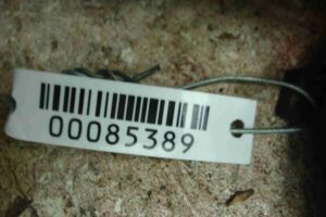 Изображение товара 85389 - 00085389 bachok gidrousilitelya 2