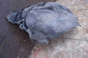 Изображение товара 85673 - 00085673 podkrylok perednij levyj Ford Scorpio 1