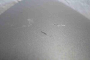 Изображение товара 85817 - 00085817 nakladka dekorativnaya Alfa Romeo 146 4