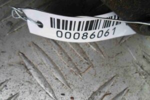 Изображение товара 86061 - 00086061 porog plastikovyj pravyj 2