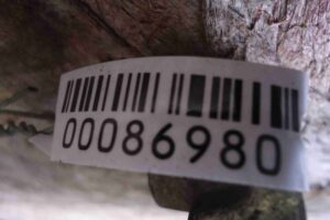 Изображение товара 86980 - 00086980 amortizator perednij levyj 3