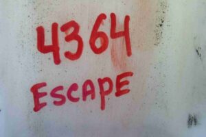 Изображение товара 87461 - 00087461 bachok omyvatelya 1