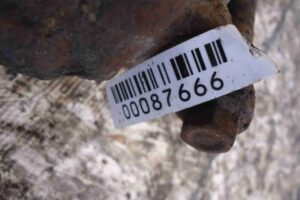 Изображение товара 87666 - 00087666 support zadnij levyj 1