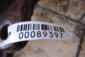 Изображение товара 89397 - 00089397 kulak povorotnyj pravyj 2