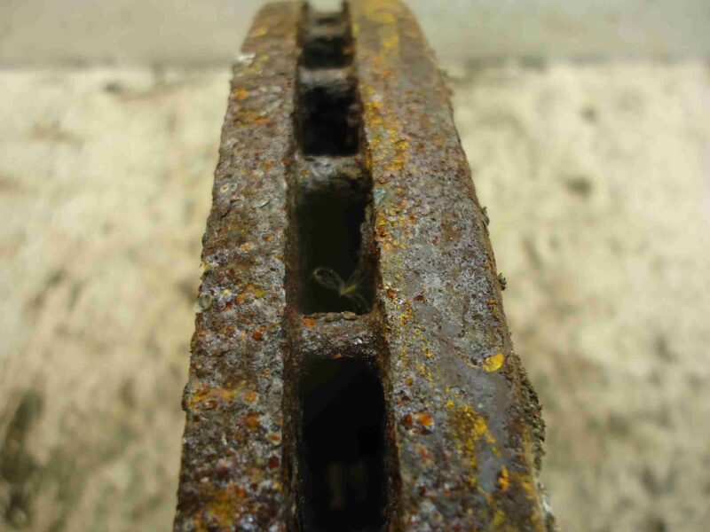 Изображение товара 89798 - 00089798 disk tormoznoj perednij Peugeot 4007