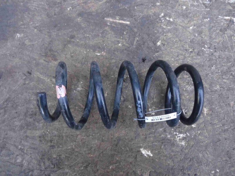 Изображение товара 89934 - 00089934 pruzhina zadnyaya Citroen C5