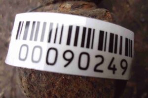 Изображение товара 90249 - 00090249 amortizator zadnij pravyj 2