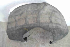 Изображение товара 91457 - 00091457 podkrylok zadnij pravyj 2