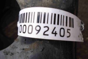 Изображение товара 92405 - 00092405 rychag perednij pravyj nizhnij Subaru Tribeca 3