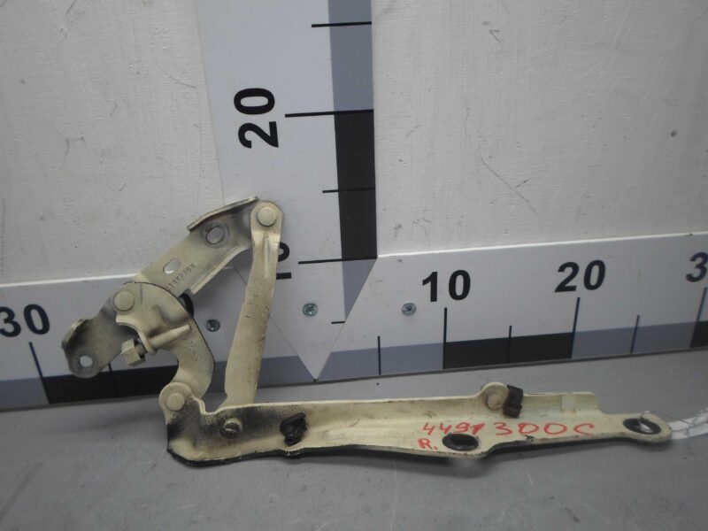 Изображение товара 92443 - 00092443 petlya kapota pravaya