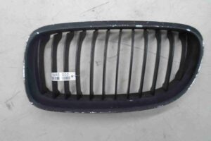 Изображение товара 92696 - 00092696 reshetka radiatora 