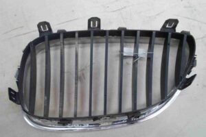 Изображение товара 94117 - 00094117 reshetka radiatora 1