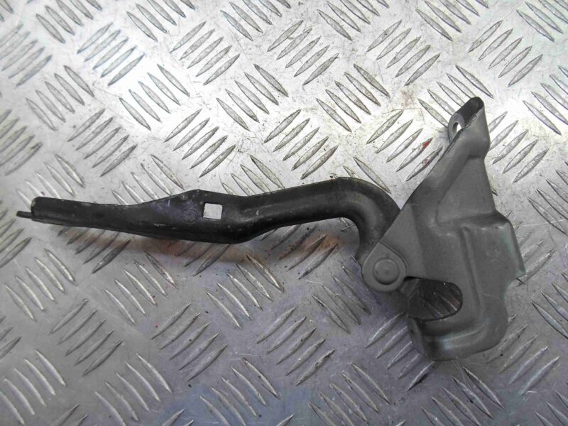 Изображение товара 94292 - 00094292 petlya kapota pravaya Citroen Berlingo