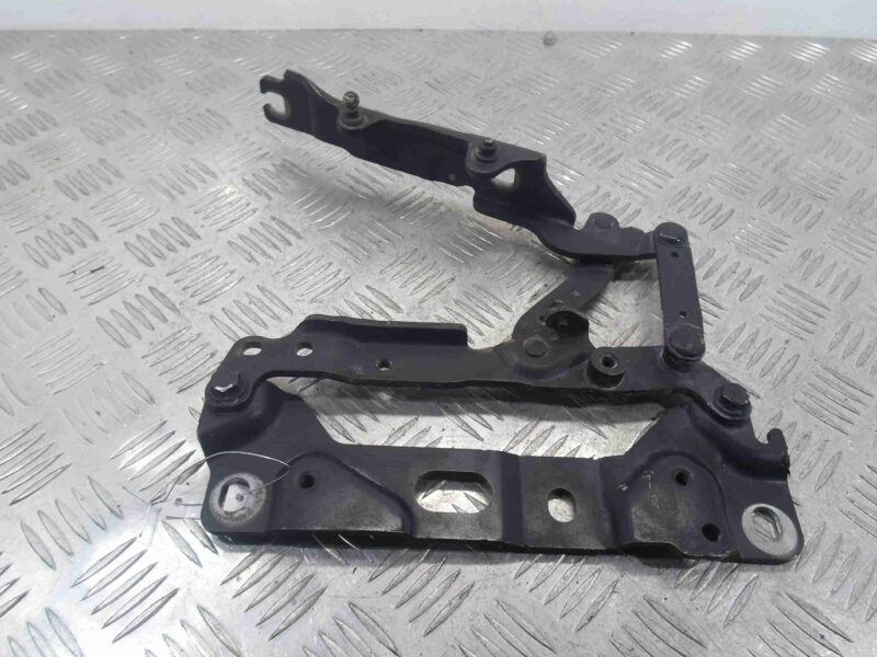 Изображение товара 95658 - 00095658 petlya kapota pravaya