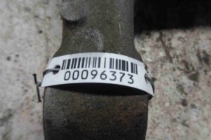 Изображение товара 96373 - 00096373 rychag zadnij pravyj nizhnij 2