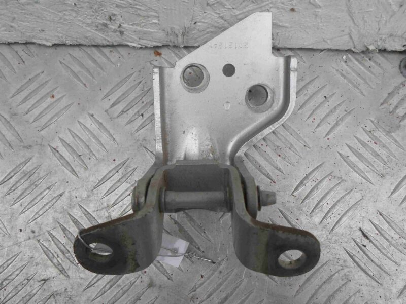 Изображение товара 96406 - 00096406 petlya dveri zadnyaya