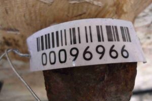 Изображение товара 96966 - 00096966 kulak povorotnyj levyj 3