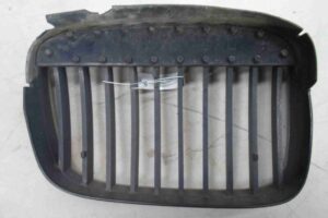 Изображение товара 97828 - 00097828 reshetka radiatora 1