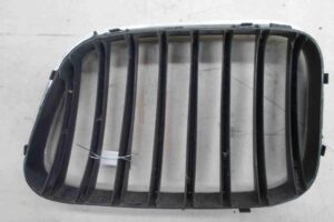 Изображение товара 97931 - 00097931 reshetka radiatora 1