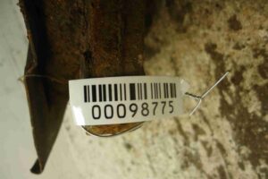 Изображение товара 98775 - 00098775 kulak povorotnyj levyj Lexus GS